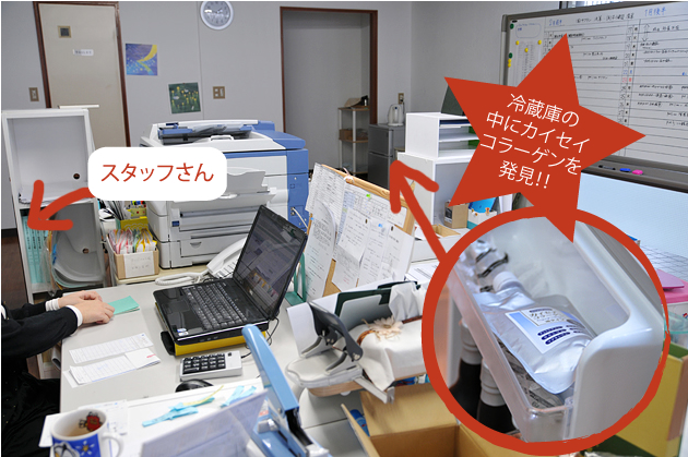 �ʲ������λ�̳�����¢�ˤˤϥ����������顼����֥롼�٥꡼������������